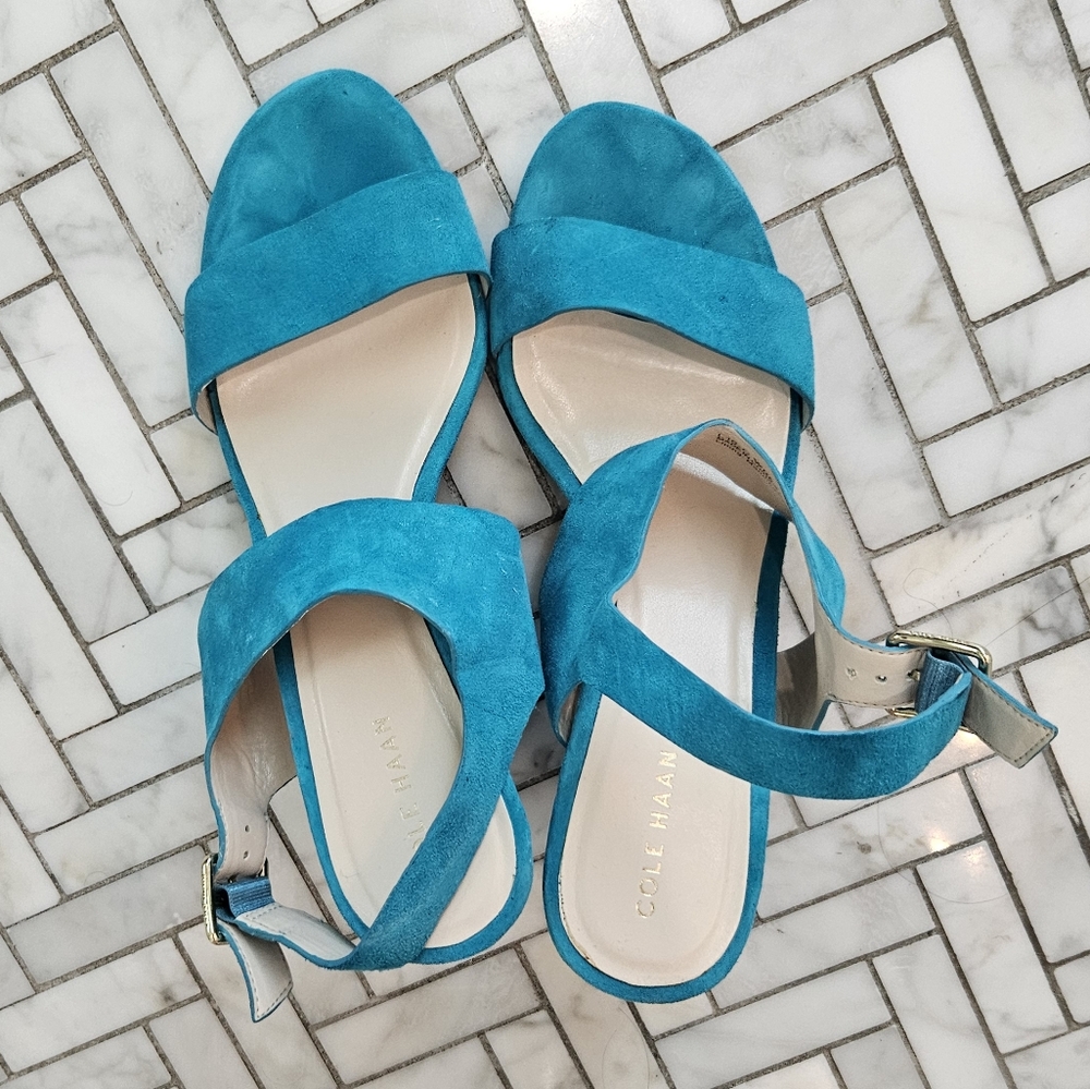 Cole Haan Blue Suede Sandals with Ankle Strap